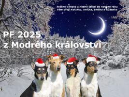 Přejeme všem krásné svátky a šťastný celý nadcházející nový rok 2025